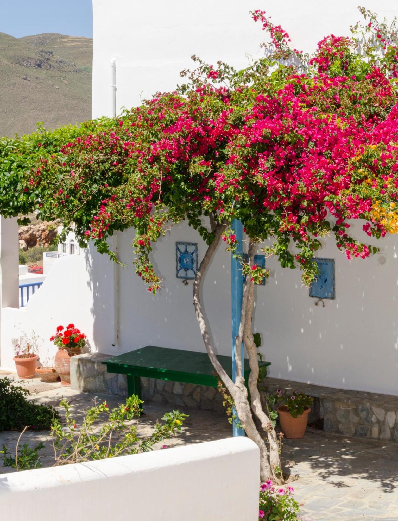 Hotel Provarma à Astypálaia Extérieur photo